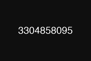 3304858095