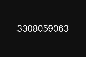 3308059063