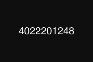 4022201248