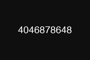 4046878648