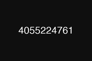 4055224761