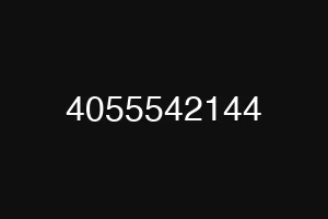 4055542144