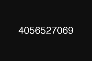 4056527069