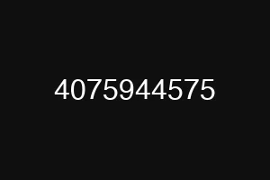 4075944575