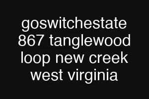 goswitchestate 867 tanglewood loop new creek west virginia